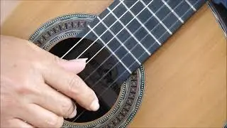 Dimitris Piperidis lattice 2021 demo Fortea & HVL www.concert-classical-guitar.com