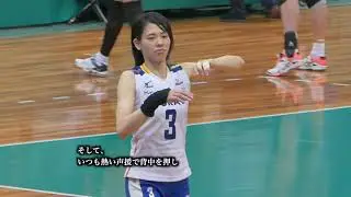 170506黒鷲SF 迫田引退etude5 東レxデンソー3-2 volleyball Japan วอลเลย์บอล 배구