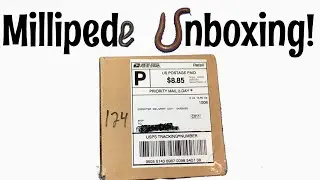 Millipede Unboxing!
