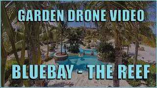 The reef curacao outside drone video