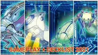 DIGITAL BUG DECK GAMEPLAY + DECKLIST 2021! YUGIOH PRO! CANDY CHAN!