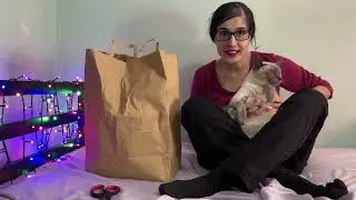 ASMR New Cat Food and Cat Treats for my cat! 