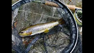 Fly fishing the East Lyn River