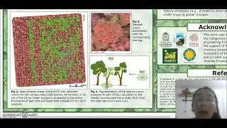 Canopy tree mortality on northwestern Amazonia - ATBC poster presentation