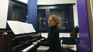 F. Schubert - Liebesbotschaft(Schwanengesang) Accompaniment/Karaoke 피아노 신예원