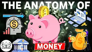 THE ANATOMY OF MONEY.