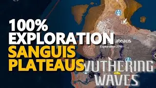 Sanguis Plateaus 100% Exploration & Chests Wuthering Waves
