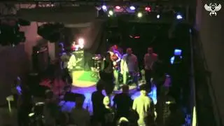 Greedy Bees - Until The Morning Comes (Live)