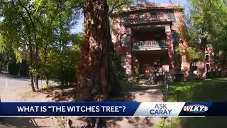 Ask Caray: What is the Witches Tree and how did it get its name?