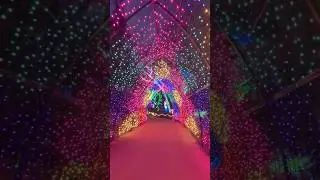 Redding Garden of Lights #reddingca #shastacounty #norcal