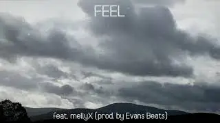 lil BIG - FEEL (feat. mellyX) (prod. by Evans Beats) (Official Audio)
