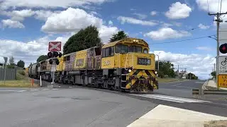 TasRail 2054 2051 #46 Coal train crossing Arthur Street