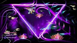 Mainstage Vibes August 2024