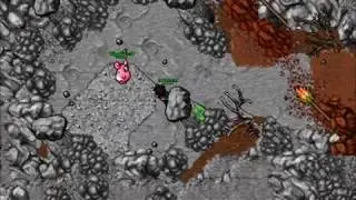 Outland Quest Gold Server 17/07