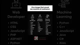 Tech Skills Every Developer Should Master | Web, Software & Machine Learning