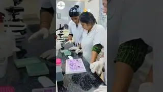 #lablove🫰🥼🧑&zwj;🔬#2024 #science #lab #research #experiment #viralvideo #shorts