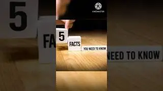 Facts That Are Amazing And You Need To Know || MRFACTZ.