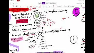 شرح فيروسات الكبد الوبائي لاختبار هيئة التخصصات الصحية Hepatitis Viruses
