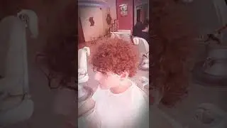 Anatomik sa&ccedil; kesimi