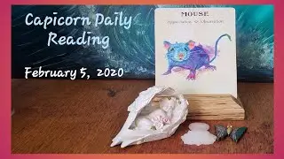 February 5, 2020 - Daily Capricorn Reading - Daily Spirit Animal - Power Animal