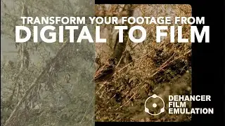 How to make your digital footage look like film with Dehancer