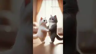 Cats Couple Dance | White Cat | Grey Cat | Cute Cats | Moon Cat Journey