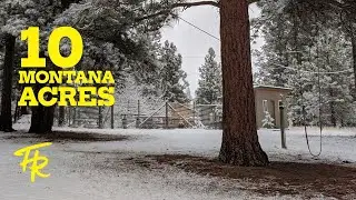 We BOUGHT A HOMESTEAD fixer upper in MONTANA! Was it a MISTAKE?