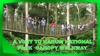 THE BEST TOURIST SITE YOU NEED TO VISIT IN GHANA - KAKUM NATIONAL PARK