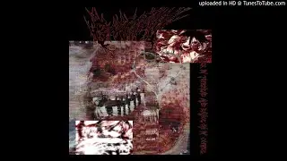 sybyr + slowsliver03 + gooncity + 4am + exodus1900  roxas + prblm type beat prod cranes + magik