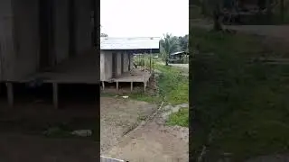 Alto Baudó