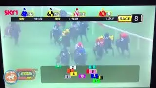 Occy and Co Tipsters Horse Racing Tips