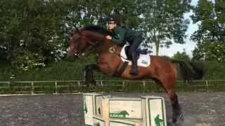 Aubiose - the best horse bedding on the market