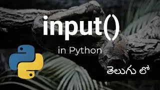 input() in python | Reading user input using input() in python Telugu | input() function in Telugu
