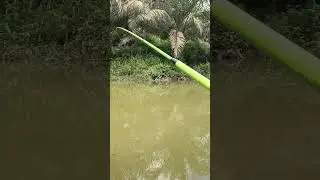 Tehnik mancing pelampung gantung langsung strek  #mancing #fishing #mancingmania