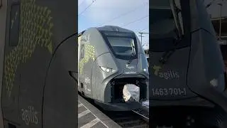 Ausfahrt von Agilis BR 1463 (Siemens Mireo) als RE 50 nach Plattling in Neumarkt #agilis #br463
