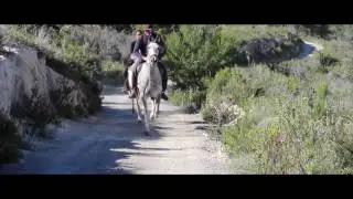IBIZA HORSE VALLEY