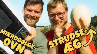 Eksploderende mikrobølgeovn - Strudseæg!