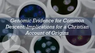 Genomic Evidence for Common Descent: Implications for a Christian Account of Origins