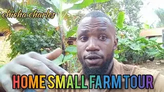 family farm tour | chicha charles | #chichacharles #tour #family #telugu #viral #uganda #hyderabad