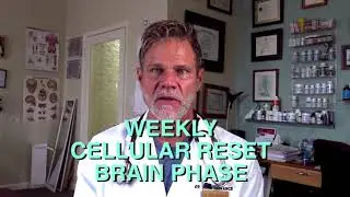 Weekly Cellular Reset 