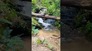 Beginning of the Deep Creek Waterfall Loop Trail in Bryson City, NC