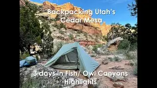 Backpacking Cedar Mesa - Fish/ Owl Canyon Loop - Spring 2021 - Highlights
