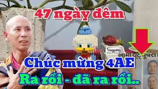 47 NG&Agrave;Y Đ&Ecirc;M! CH&Uacute;C MỪNG 04AE, RA RỒI - Đ&Atilde; RA RỒI...