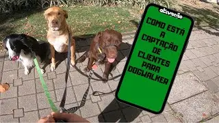 Rotina de Dog Walker | Life Style | Como fa&ccedil;o a CAPTA&Ccedil;&Atilde;O dos clientes | GoPro - Full HD