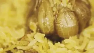 Настоящий плов - Вот это МЯСО! - превью