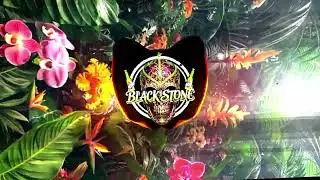 Dusk Till Dawn (Darkzide remix) 2026🇻🇺