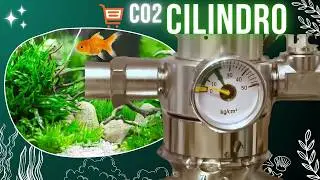 💨 Cilindro de CO2 Para Aquários Plantados da China: Como Montar e Usar! [Remasterizado 4K] 💨