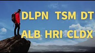 164：美股DLPN  TSM  ALB  HRI  DT  CLDX闲聊