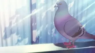 Girls Band Cry - A pigeon producing an absolute banger
