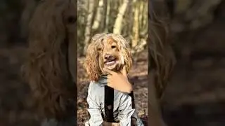 Singing dog 🐶